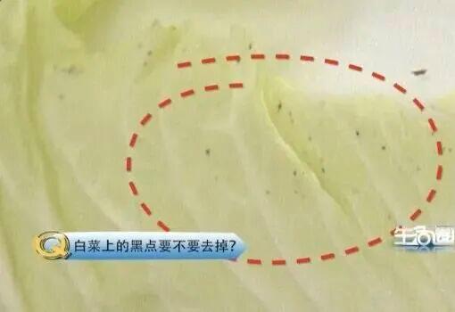 这种性价比超高的“冬季蔬菜” 吃对营养又健康