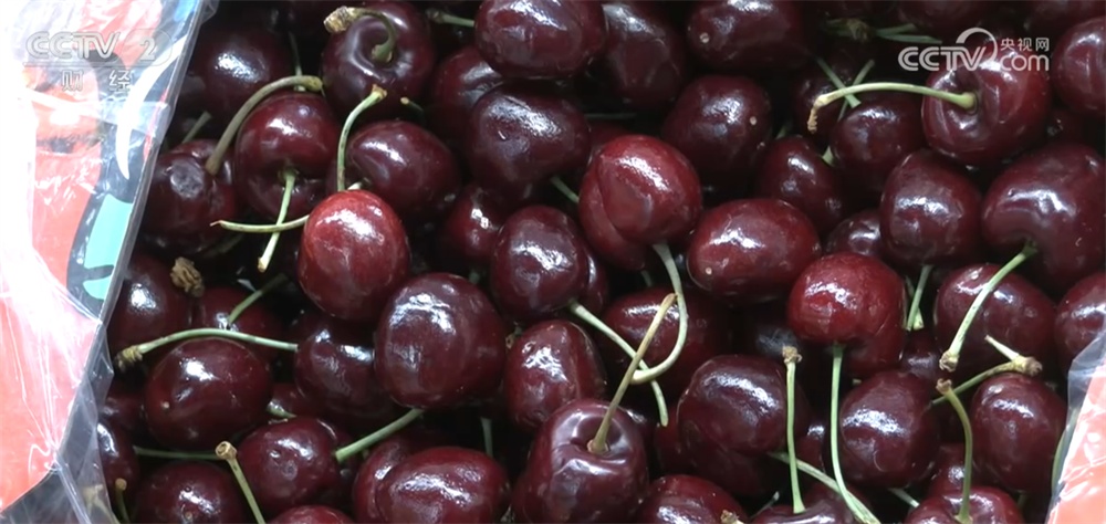 进口水果量升价降、年宵花卉供销两旺 节前消费市场“琳琅满目”货足价稳