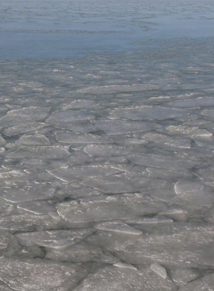 壮观！黄河宁夏段进入流凌结冰期！