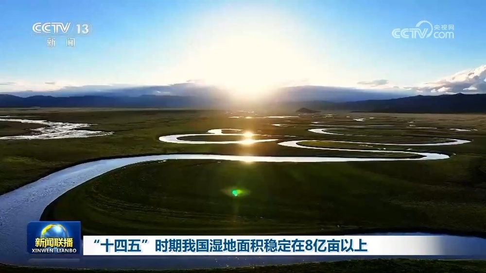 “十四五”时期我国湿地面积稳定在8亿亩以上