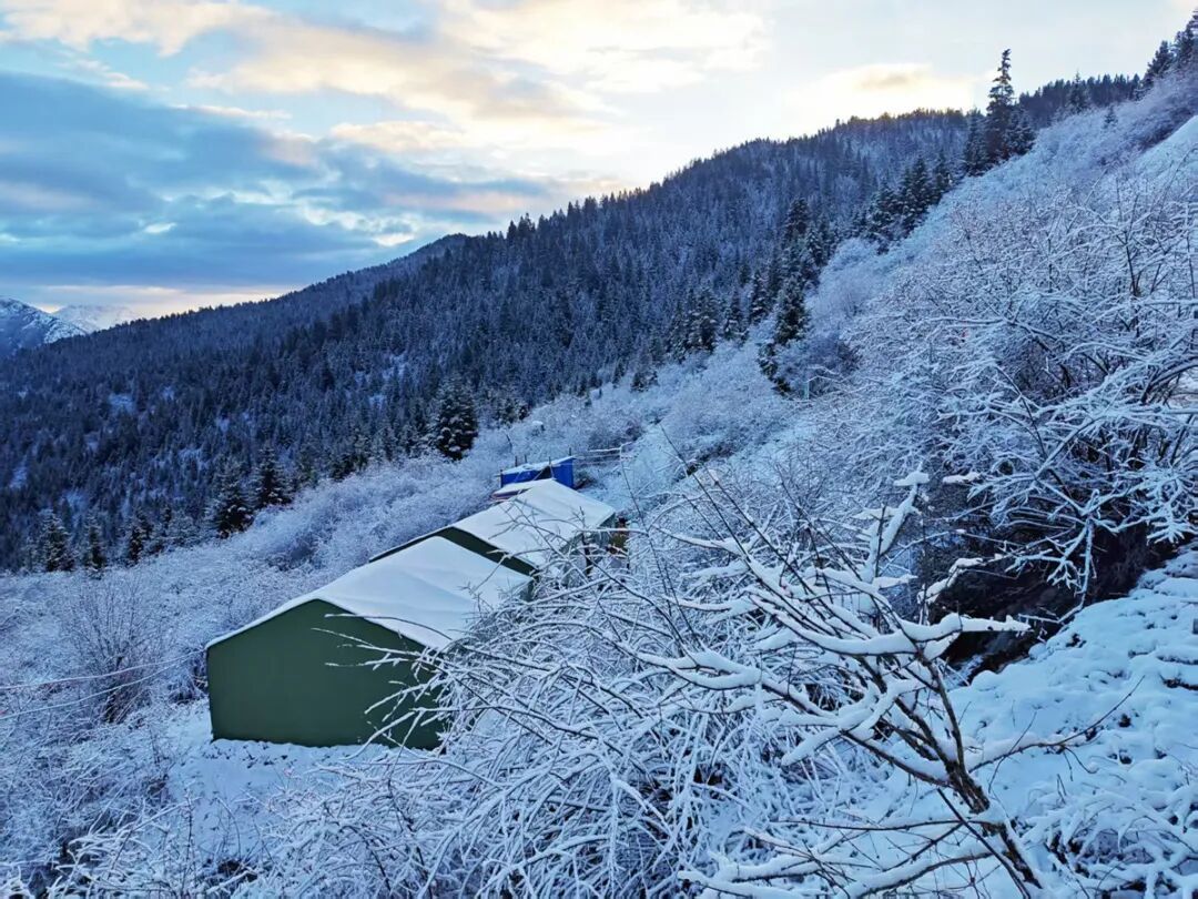 四川哪里的金子最多？