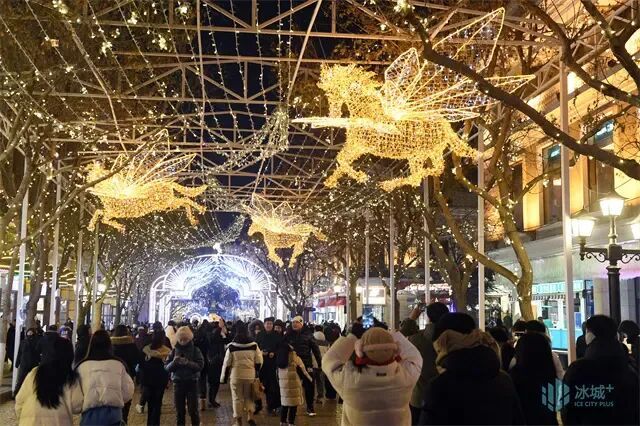 写给冰城的光影情书 2026年中央大街用科技点亮百年老街