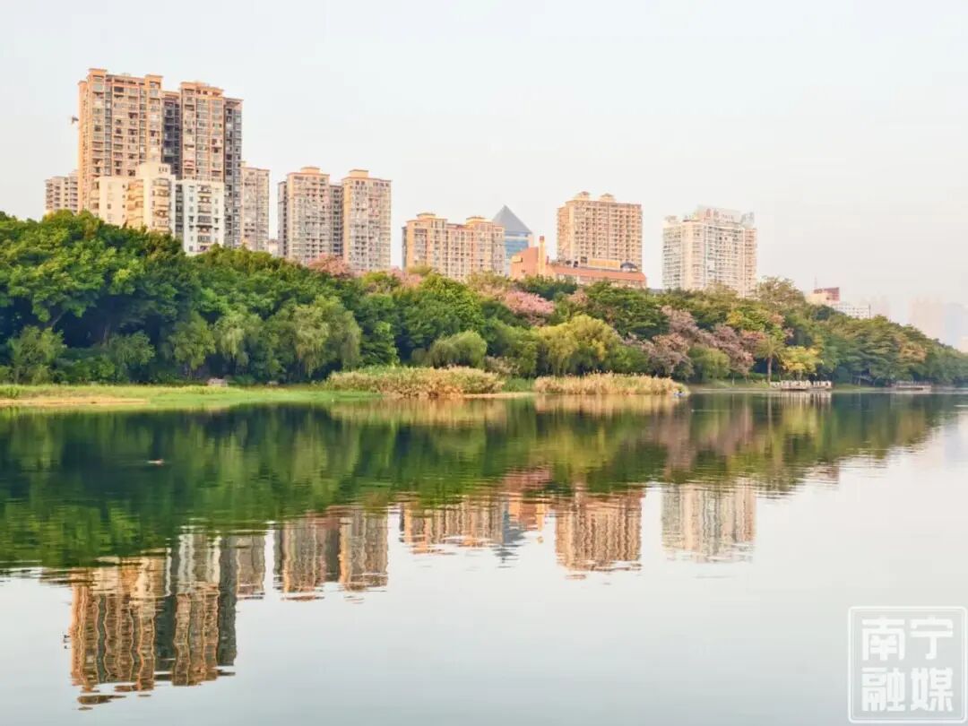 南宁最高温26℃！广西晴暖如春？别急，天气大转折马上到