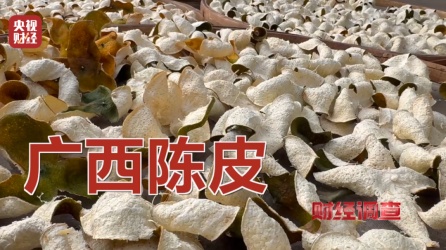 央视曝光“速成”假陈皮！分辨真假只需三步，《养生堂》提醒→