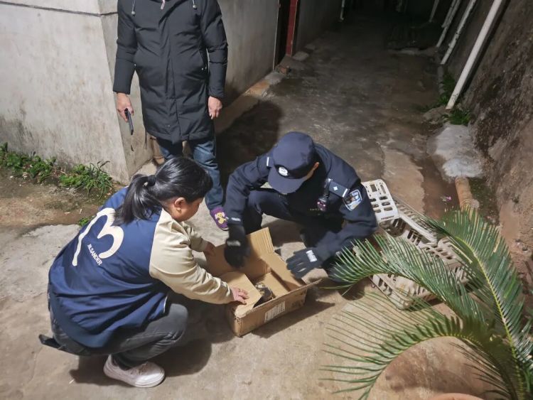 国家二级保护动物“猴面鹰”，成功获救！