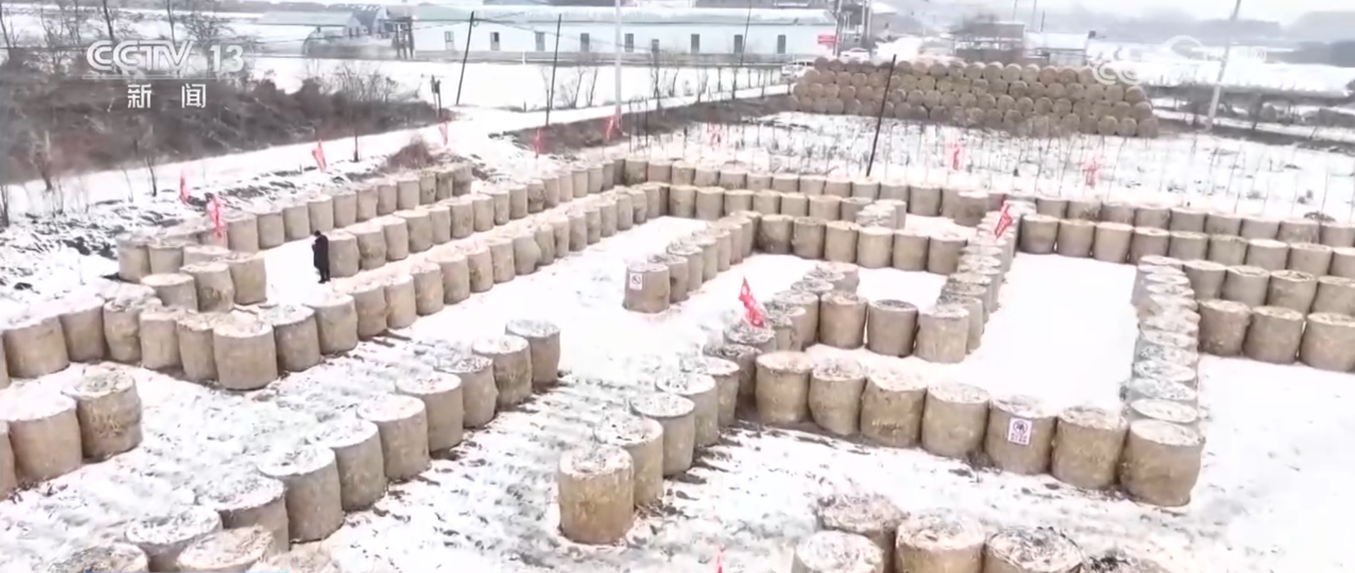 从“赶大集”到“打卡草垛迷宫” 一起感受冬日乡村生活“烟火气”