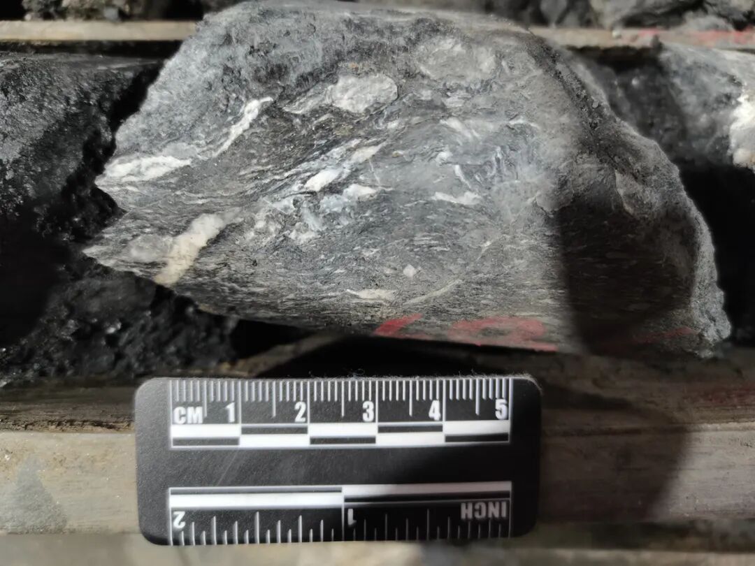 四川哪里的金子最多？