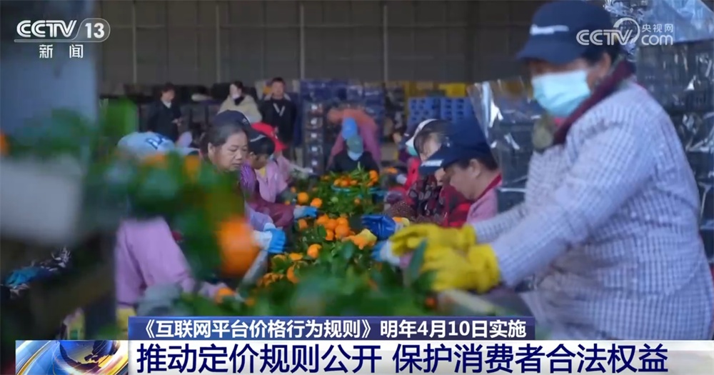 三部门联合发布《互联网平台价格行为规则》 如何保护消费者合法权益？一文解读↓