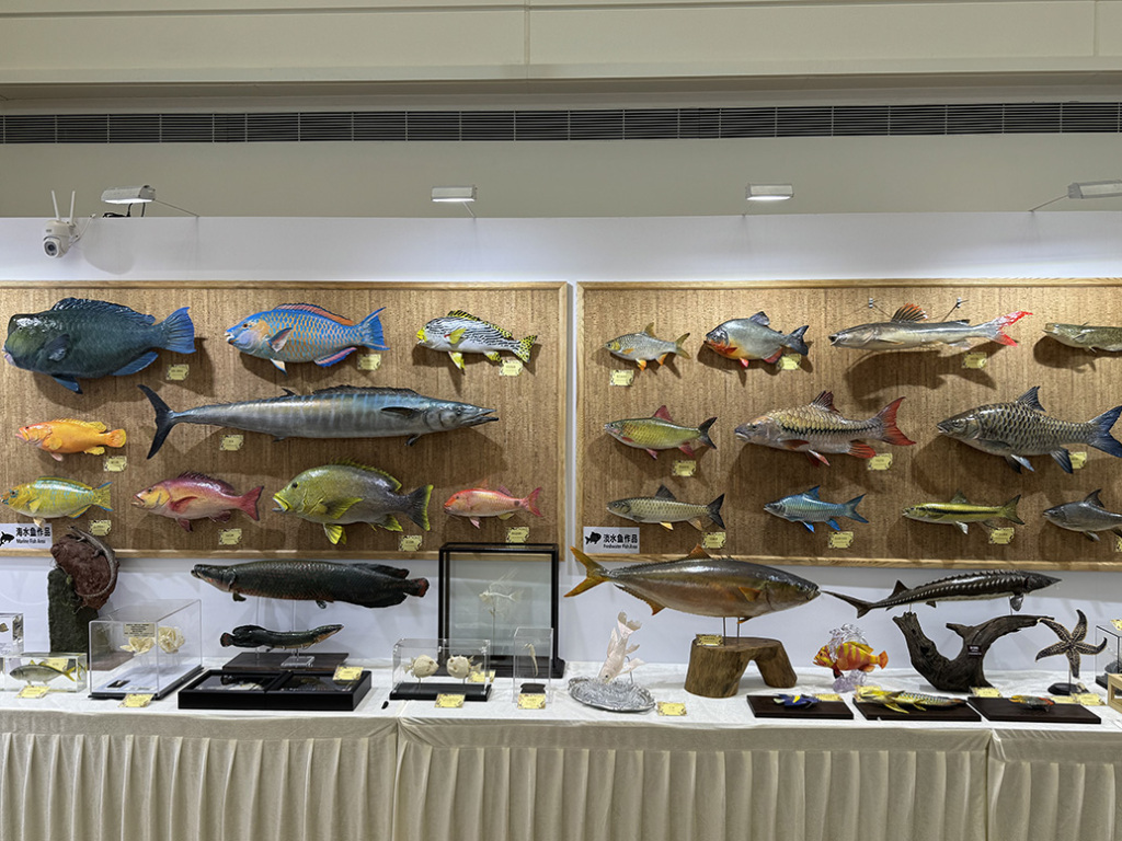 中国动物标本大赛首次在沪举办：规模创新高，舌头上的口水也活灵活现