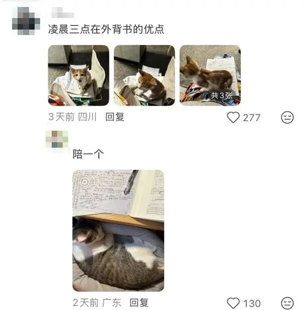 等考完研,就过了一年中夜最长的日子了 等考完研,就过了一年中夜最长的日子了