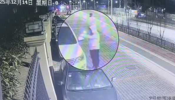 零容忍！仙桃警方抓获3人