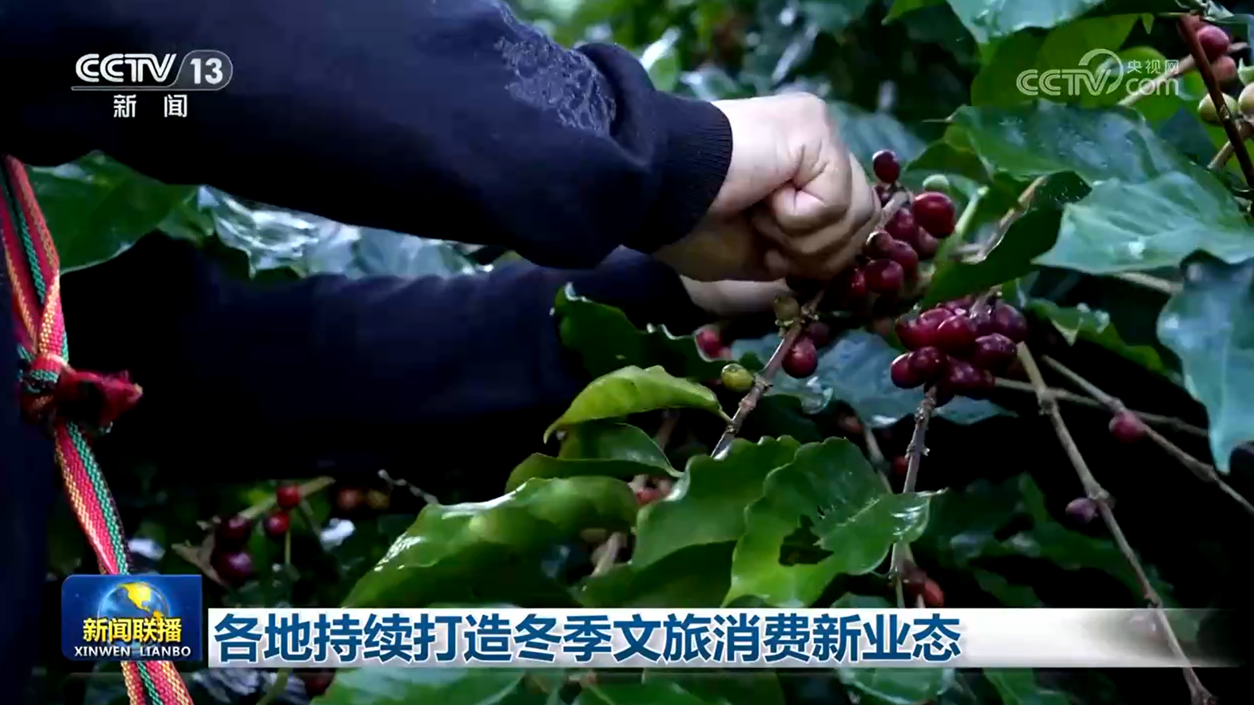 各地持续打造冬季文旅消费新业态 各地持续打造冬季文旅消费新业态