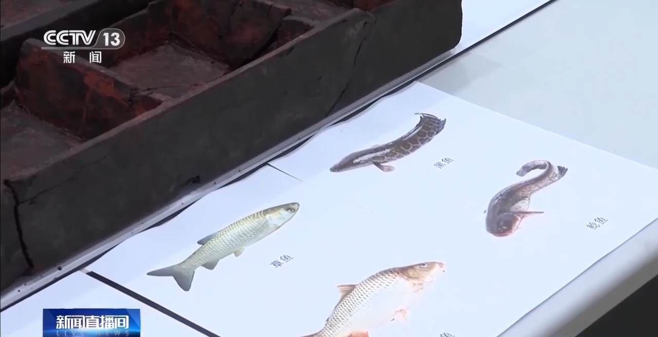 考古新发现!出土实物带你解密这位楚王的日常 考古新发现!出土实物带你解密这位楚王的日常