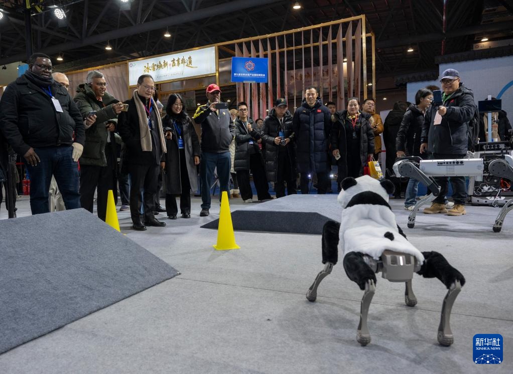 驻华使节吉林行：点赞“冷资源”里的热活力！