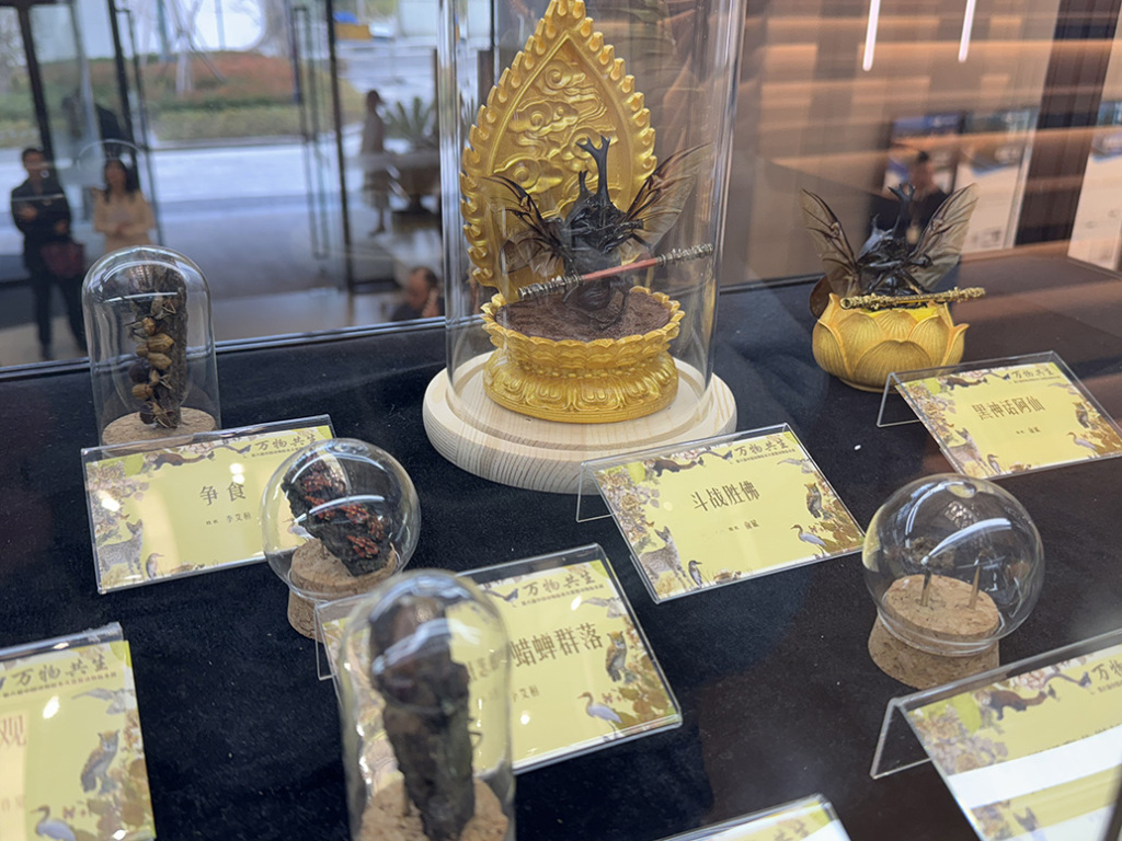 中国动物标本大赛首次在沪举办：规模创新高，舌头上的口水也活灵活现