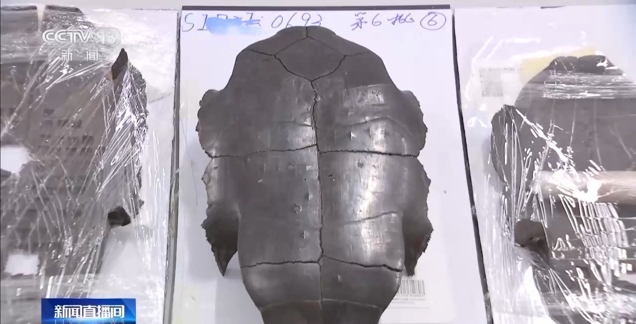 考古新发现!出土实物带你解密这位楚王的日常 考古新发现!出土实物带你解密这位楚王的日常