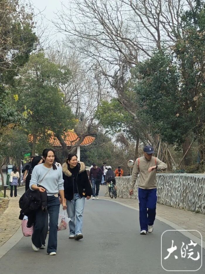 大蜀山可以骑车上山了？管理部门回应