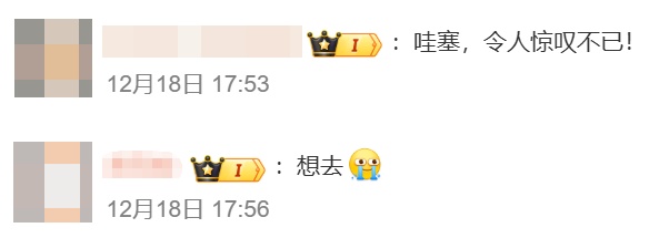 27米冰雕黄鹤楼，突然爆火！网友瞬间沸腾