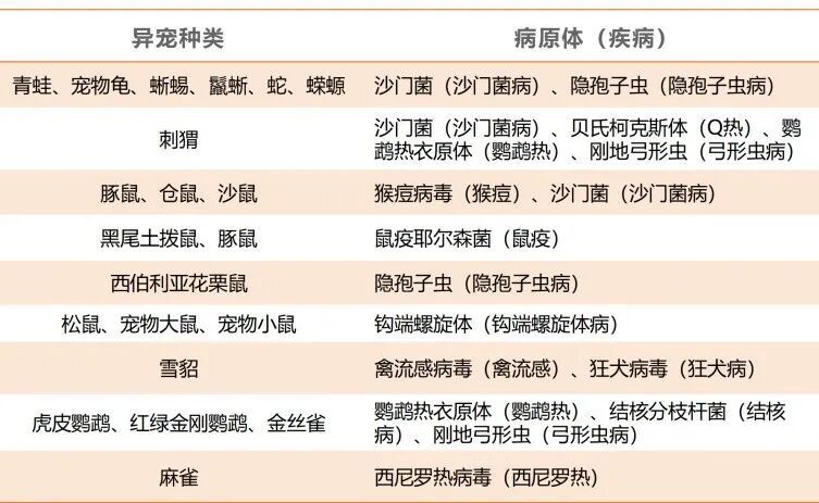 北京一男子喂食这种宠物时被咬，大拇指坏死遭截肢！