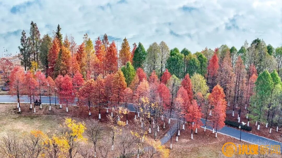 低至6℃！降温！大风！两股冷空气将影响南昌