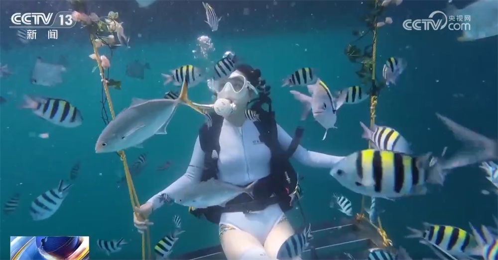 旅交会首次“落地”海南 多项“利好”助力国际旅游消费中心建设 旅交会首次“落地”海南 多项“利好”助力国际旅游消费中心建设