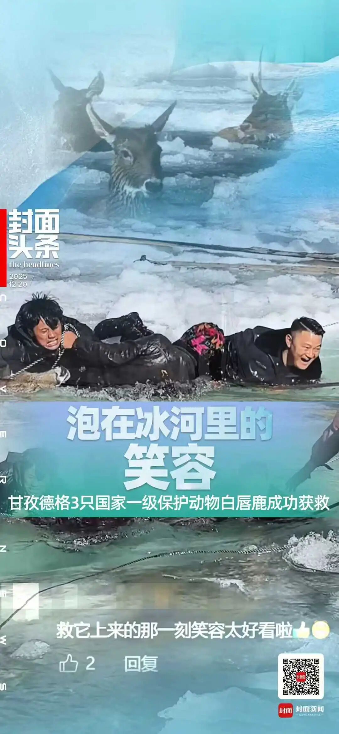冰河刺骨，但笑容滚烫！四川甘孜警民零下10℃冰河中，救出3只珍稀白唇鹿