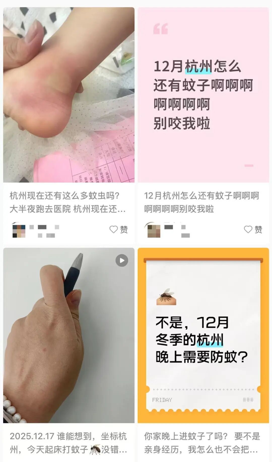 北京惊现雪地蚊子！杭州这两天也有，蚊子能抗寒了？