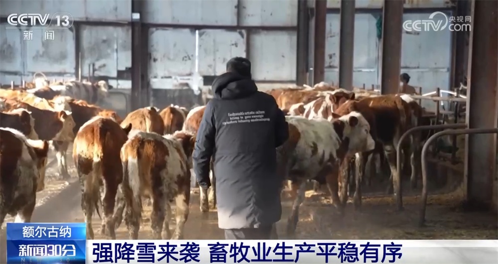 北方多地出现降雪天气 各部门合力保障群众出行安全与生产秩序稳定