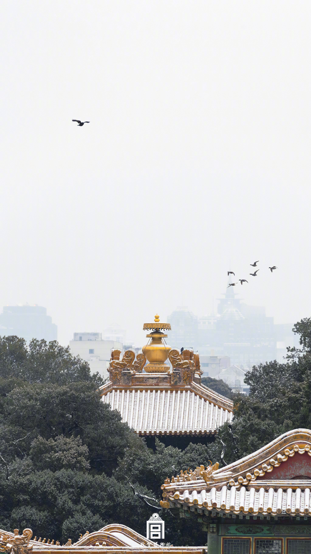 收藏！把故宫的鸟儿框进壁纸