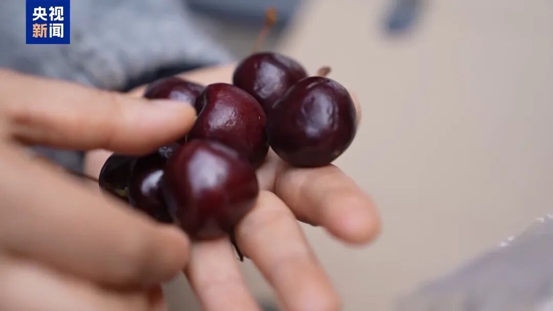 价格“大跳水”！你爱吃的它，大量到货了