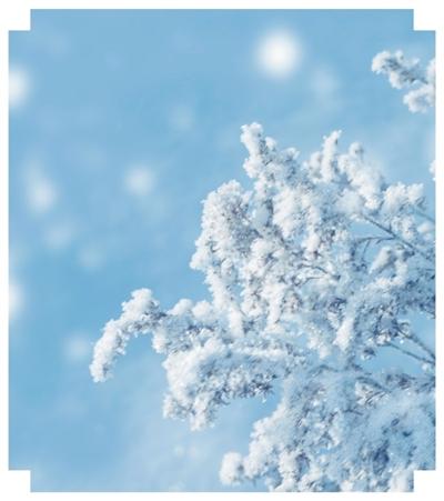 烟台、威海为何成“雪窝”