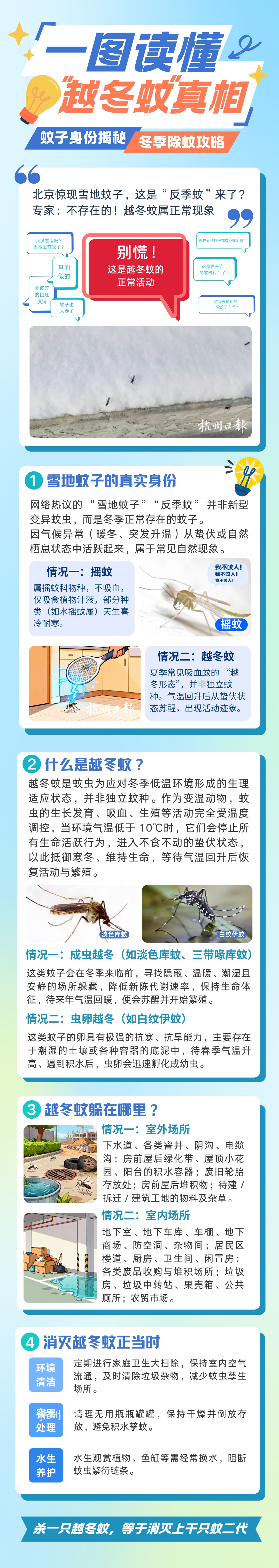 北京惊现雪地蚊子！杭州这两天也有，蚊子能抗寒了？