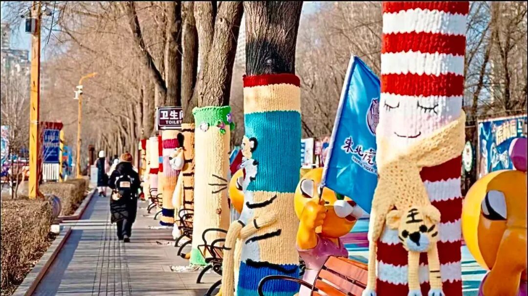 为游客设温暖小屋、大树穿上针织 “新衣”：东北虎林园冬季“换装”迎客