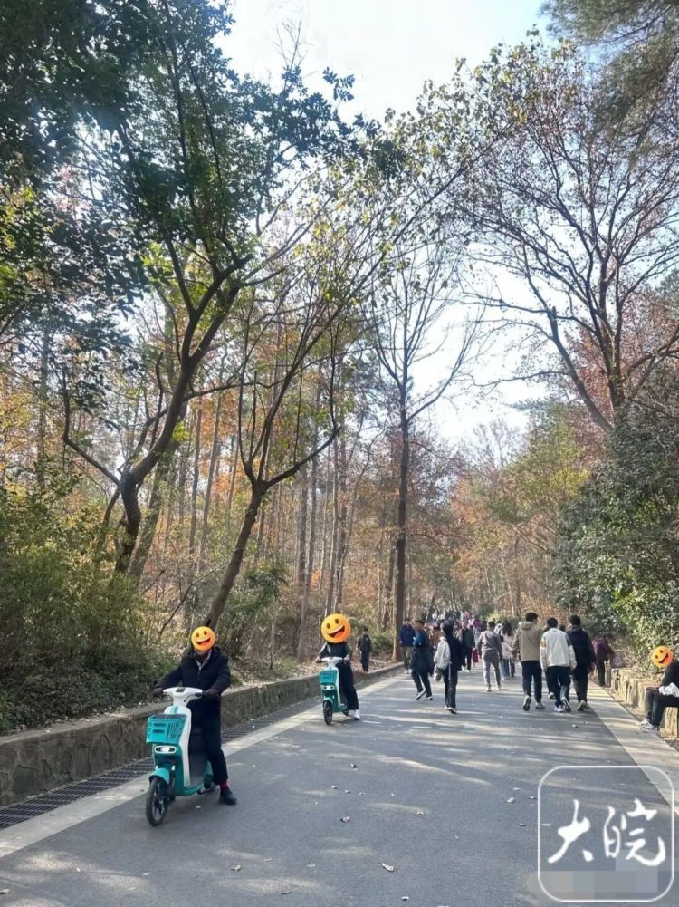 大蜀山可以骑车上山了？管理部门回应