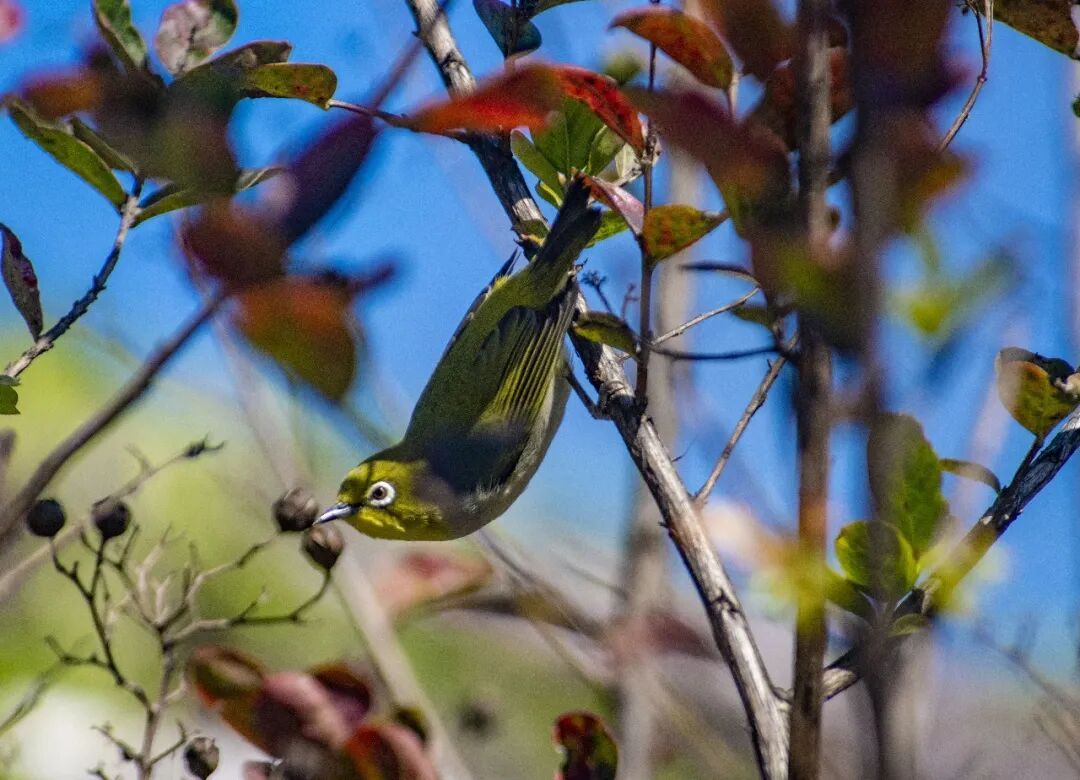 今天，比过年还重要！广州还有冷空气，不带雨的那种