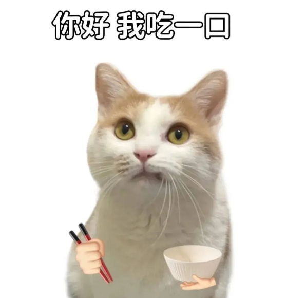 当前15438桌在等位！冬至夜北京一饺子馆火爆惊呆网友：非吃不可吗？