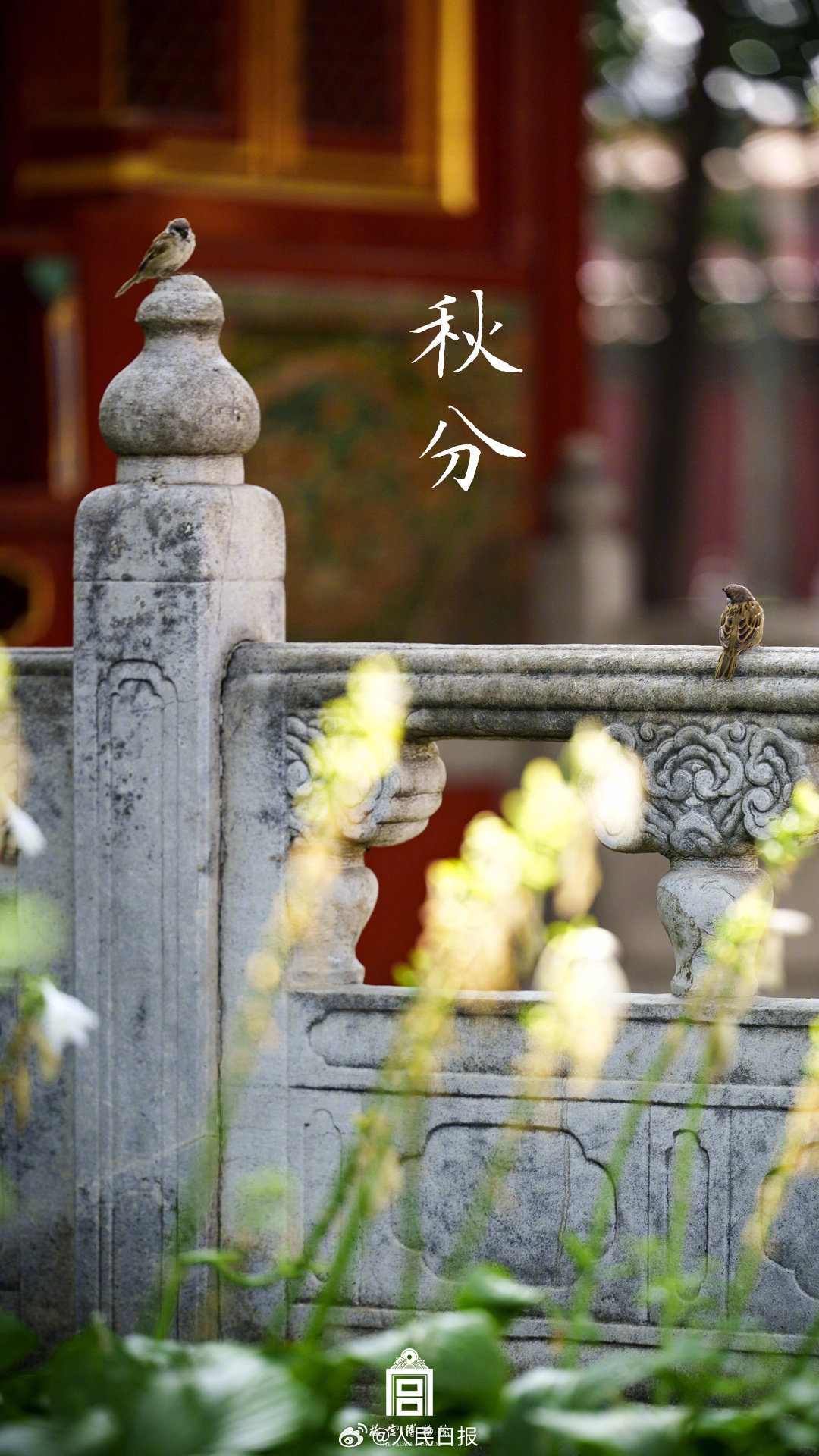 收藏！故宫节气壁纸一眼惊艳