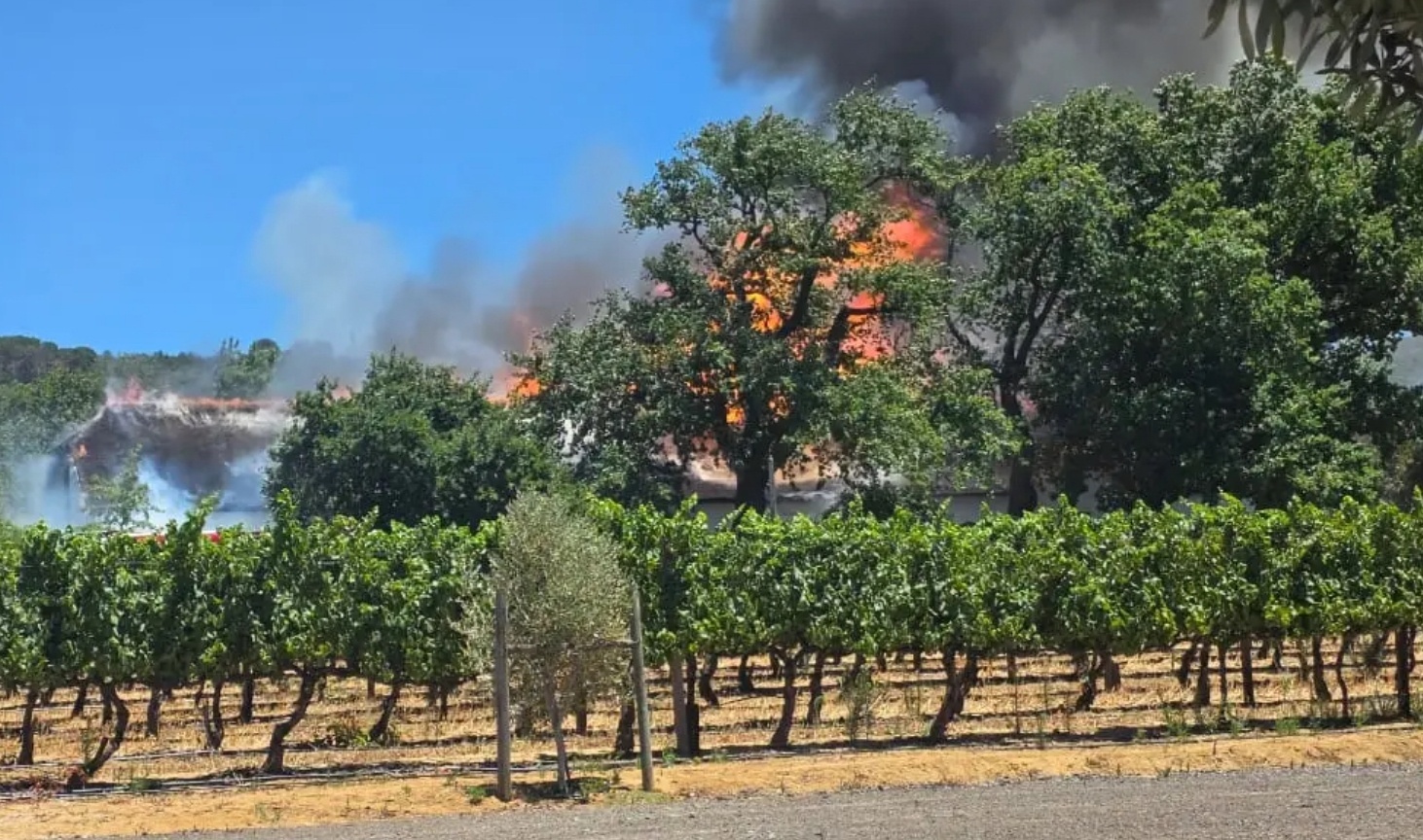 南非一酒庄发生火灾 百年历史建筑被烧毁