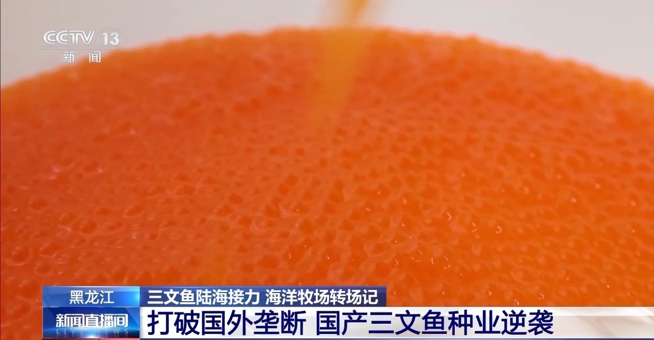 如何实现陆海接力养殖？揭秘三文鱼入海前的“必修课”