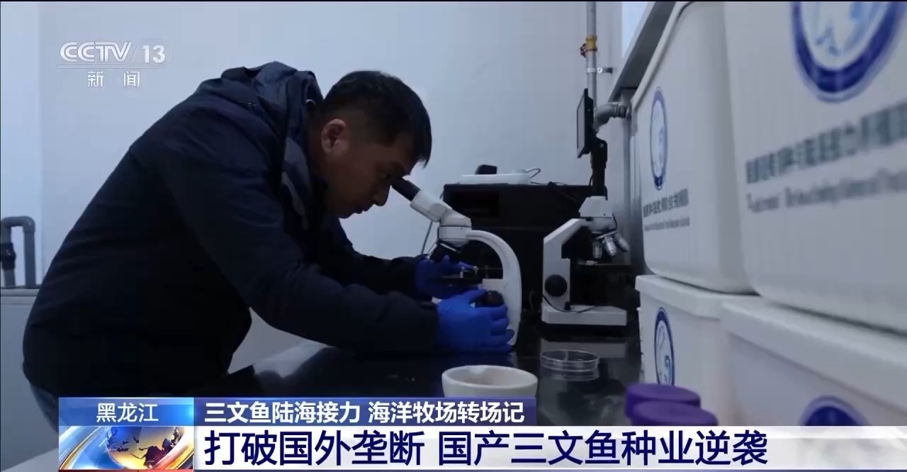 如何实现陆海接力养殖？揭秘三文鱼入海前的“必修课”