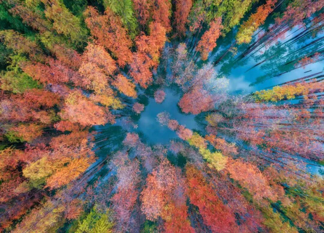 岭南节俗暖意浓，围炉共话烟火长