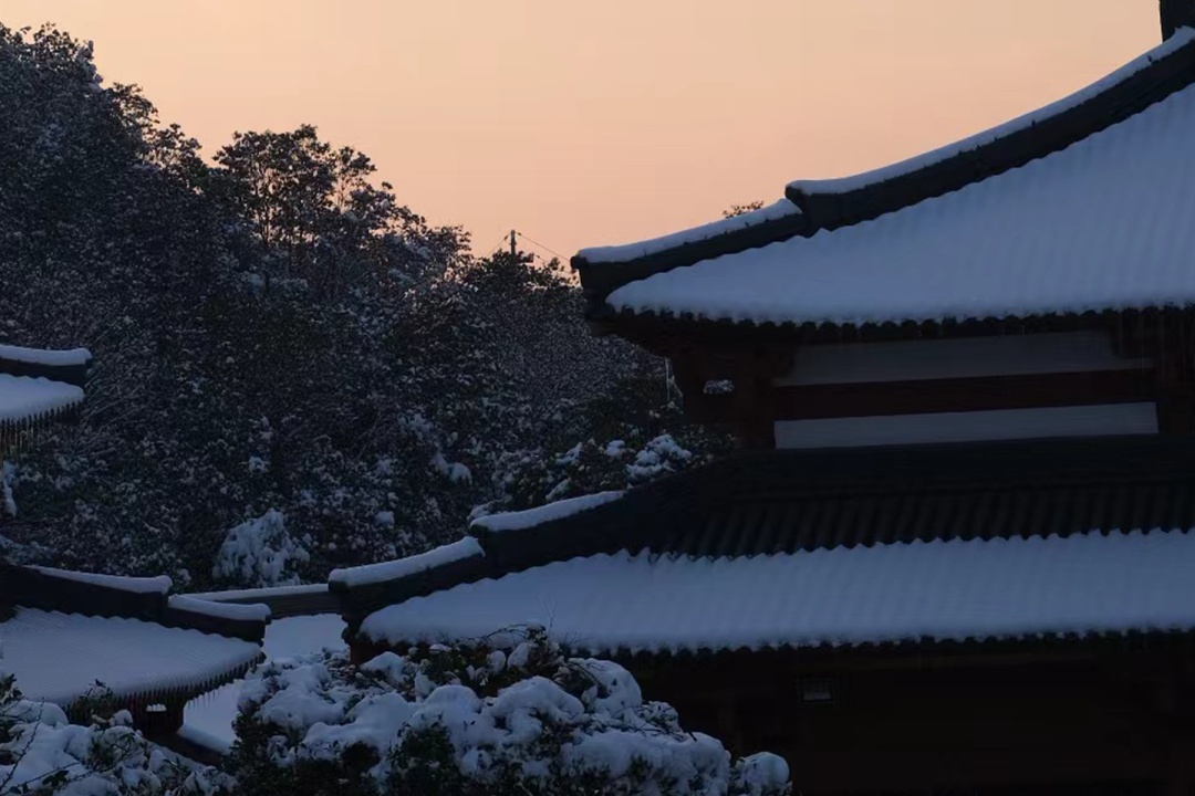 冬至大如年，建议你吃这几种饺子馅儿！