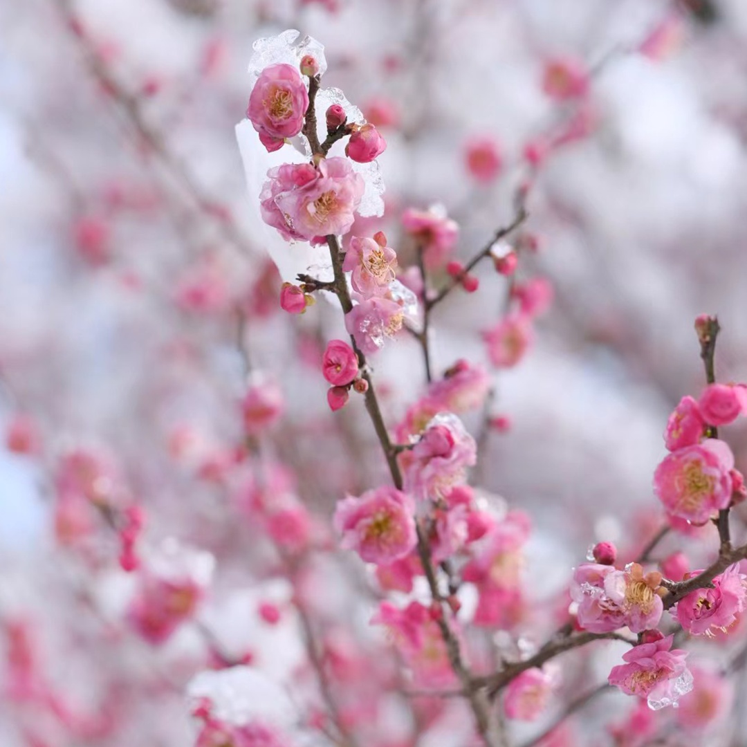冬至大如年，建议你吃这几种饺子馅儿！