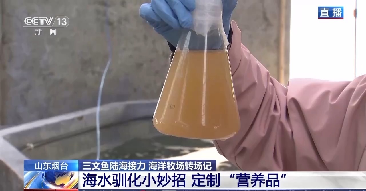 如何实现陆海接力养殖？揭秘三文鱼入海前的“必修课”