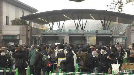 日媒：上野动物园旅日大熊猫将回国，23日起参观需网上提前预约