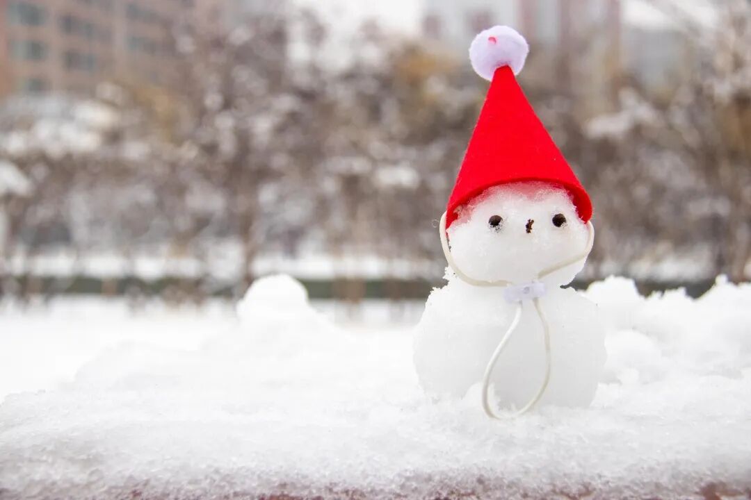 今天，别忘了吃饺子！咱河北有老讲究