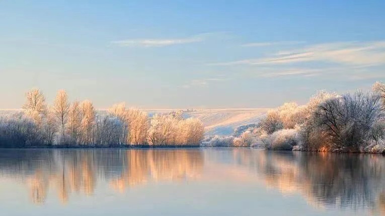 冬至大如年，建议你吃这几种饺子馅儿！