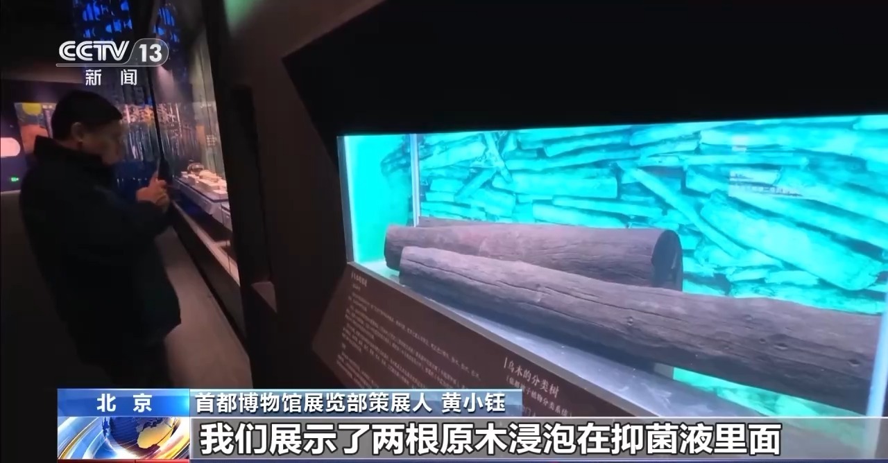 370组件南海出水文物亮相大运河博物馆 看展指南收好