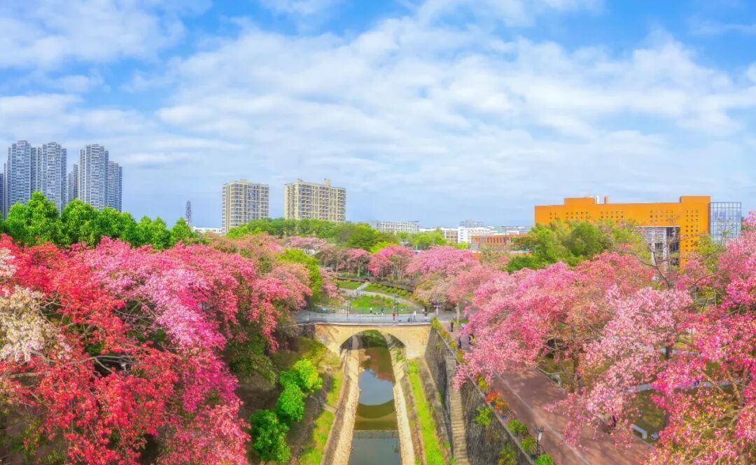 岭南节俗暖意浓，围炉共话烟火长