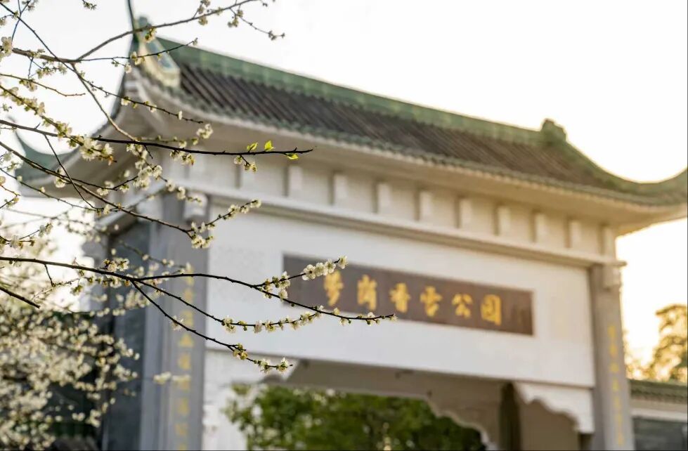 岭南节俗暖意浓，围炉共话烟火长